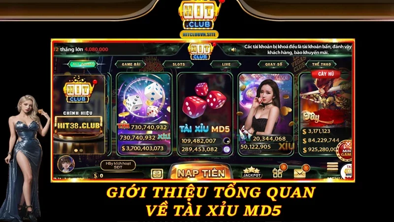 Giới thiệu tổng quan về Tài Xỉu MD5 Giới thiệu tổng quan về Tài Xỉu MD5